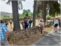 caminhada5.png