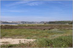 IMG_9191.jpg