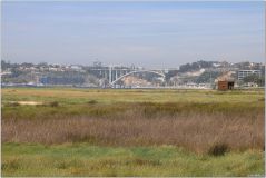 IMG_9192.jpg