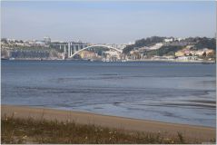 IMG_9207.jpg