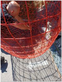 BBHope132.png
