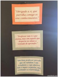 foto14.jpg