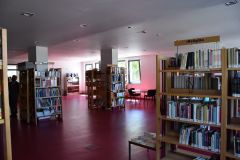 foto10.jpg