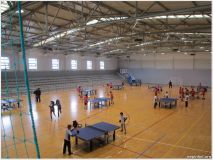 tenis-mesa2.png