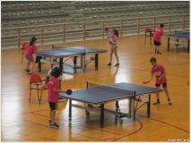 tenis-mesa4.png