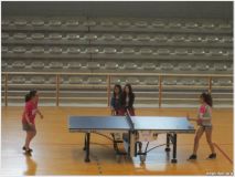 tenis-mesa7.png