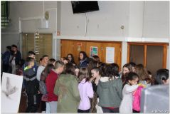 intercambio18.png