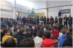 r1ciclo2.jpg
