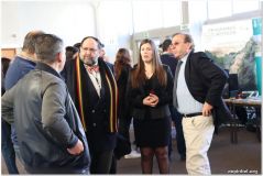 dinformatica197.jpg