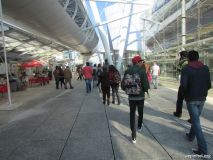 IMG_7557.jpg