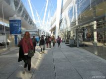 IMG_7558.jpg