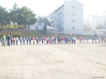 cortamato51.jpg