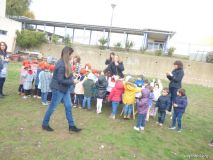 cortamato78.jpg